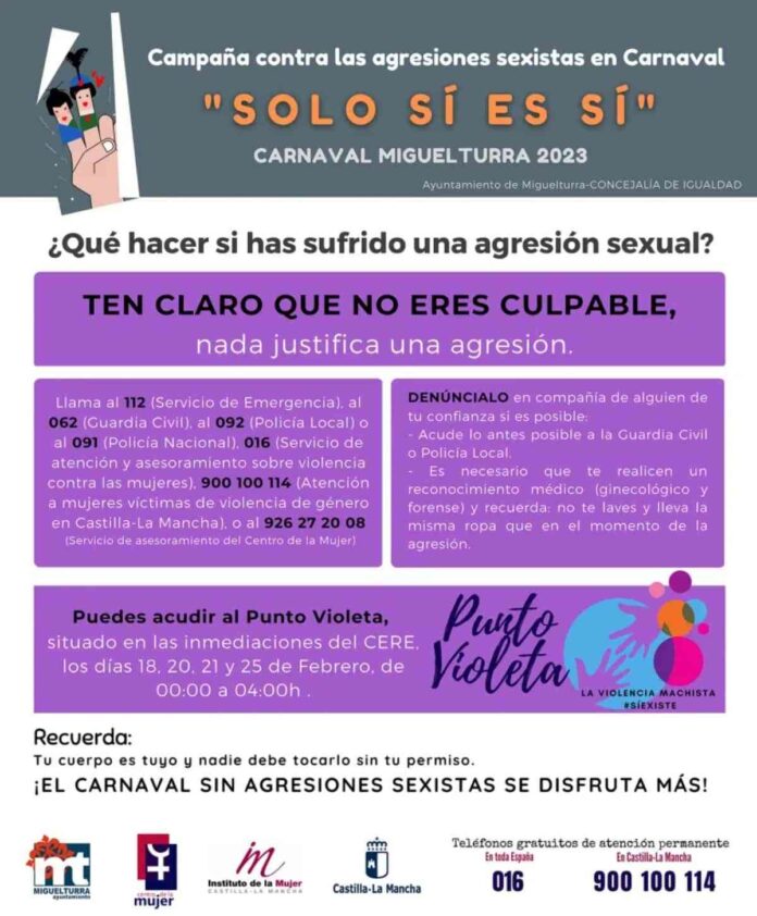 campana-agresiones-sexistas-carnaval-miguelturra.jpg