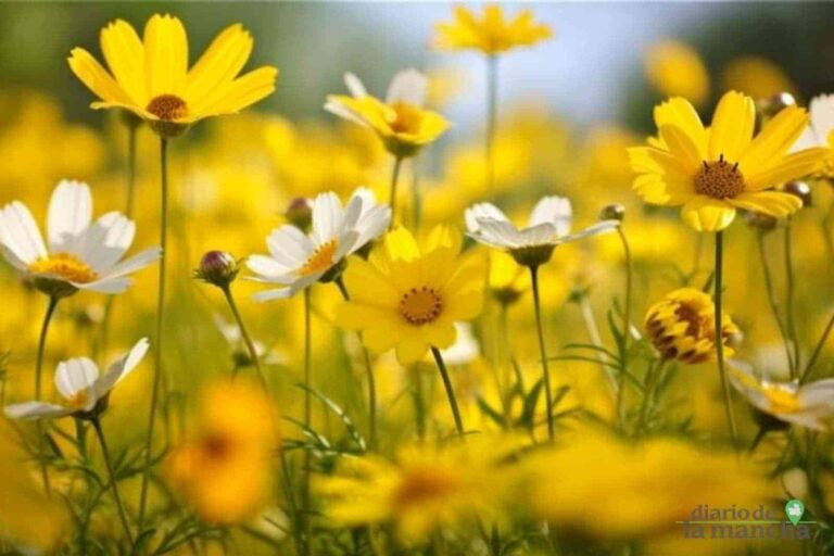 La primavera y las alergias al polen en España: previsiones y avances en medicina de precisión