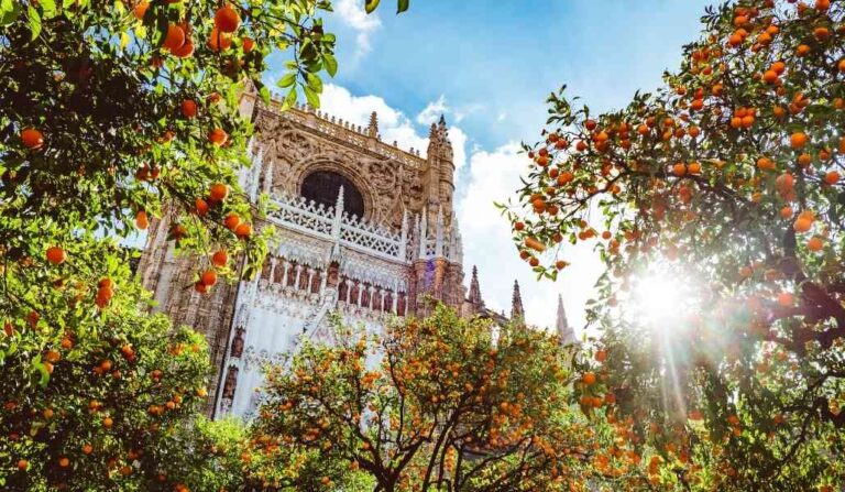La primavera sevillana se llena de vida gracias a los naranjos en flor