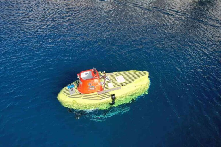 El turismo subacuático experimenta un aumento tras la erupción del Volcán de La Palma