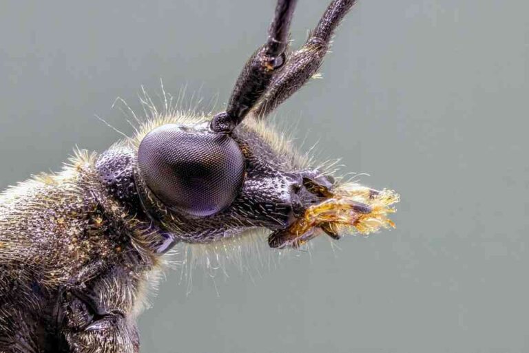 Castilla-La Mancha, una región con fuertes atributos para convertirse en Región Europea del Deporte en 2024, según destaca el Gobierno regional.