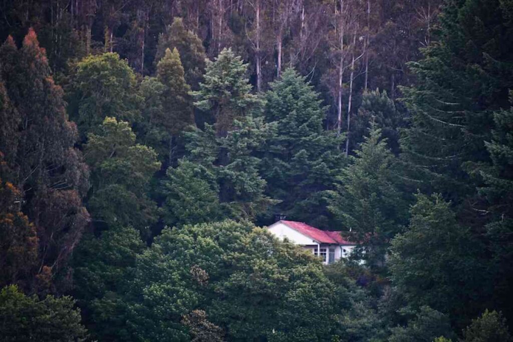 Valdivia la “Perla del sur” en Chile que es uno de los mejores destinos turísticos 1