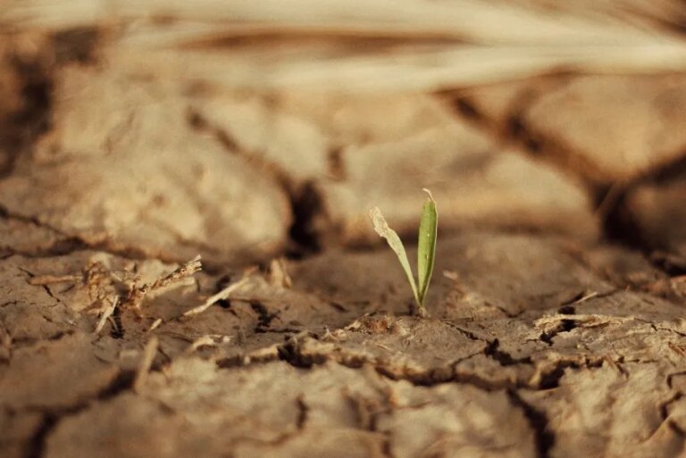 Los servicios acreditados por ENAC garantizan la vigilancia y control para una correcta gestión del suelo
