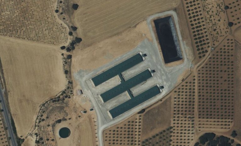 En tramitación una nueva macrogranja porcina en Ledaña, municipio declarado vulnerable a la contaminación por nitratos