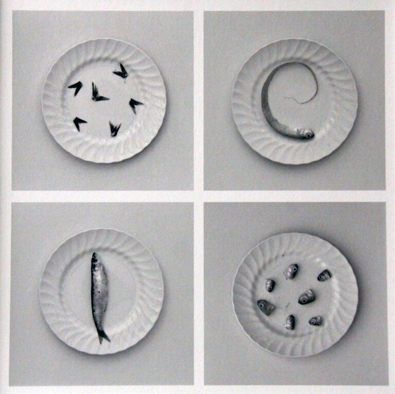 Ganadores del XXIII Certamen de Fotografía “Ciudad de Tomelloso 2023” los premios se entregarán el 30 de agosto