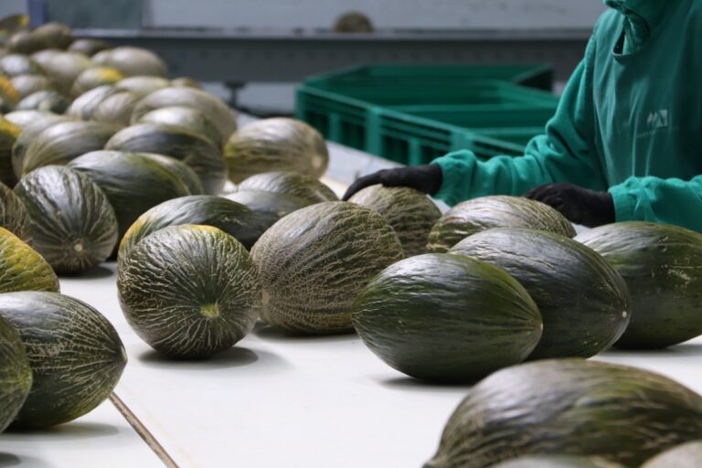 Alcalde de Manzanares visitó Mercomancha “que es un referente” por su modelo empresarial y la calidad de sus productos