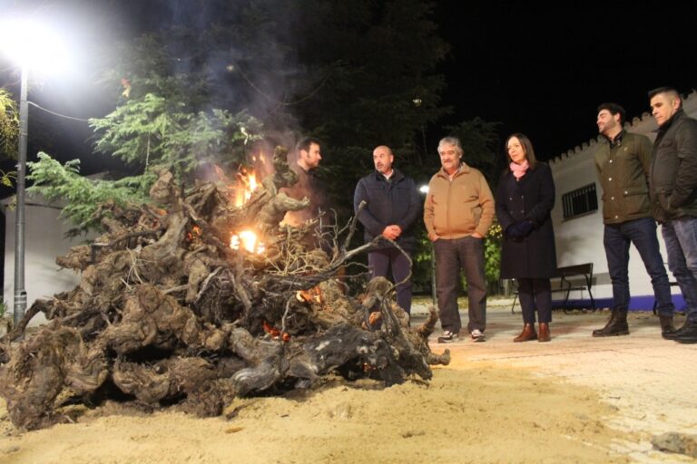 Alameda de Cervera da la bienvenida a la Navidad con el encendido de luces