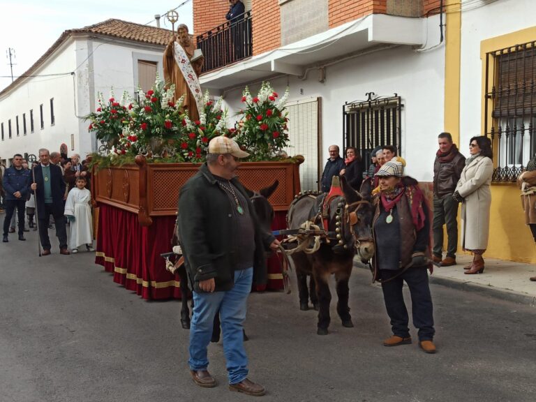 San Antón vuelve a recorrer las calles de Alcázar con las mulillas