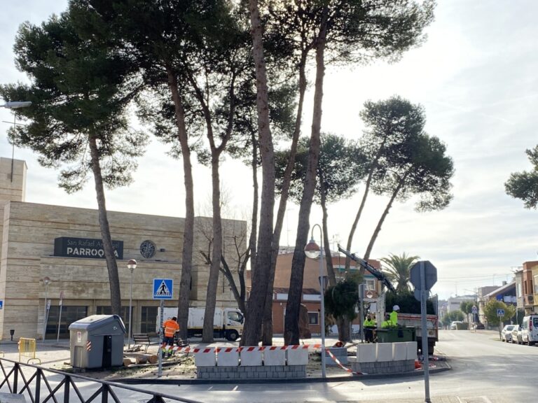 La concejalía de Medioambiente actúa para prevenir daños en el arbolado