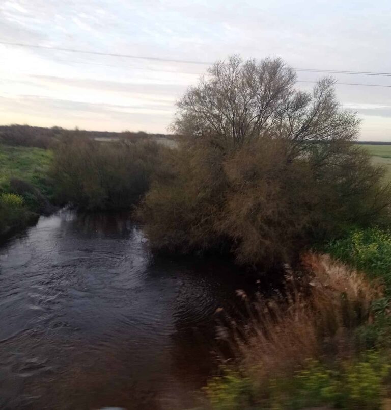 El rio cigüela vuelve a llevar agua con las recientes lluvias
