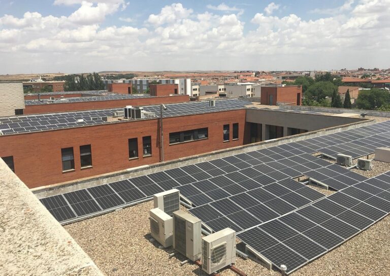 La Gerencia de Alcázar de San Juan celebra el Día Mundial del Medio Ambiente