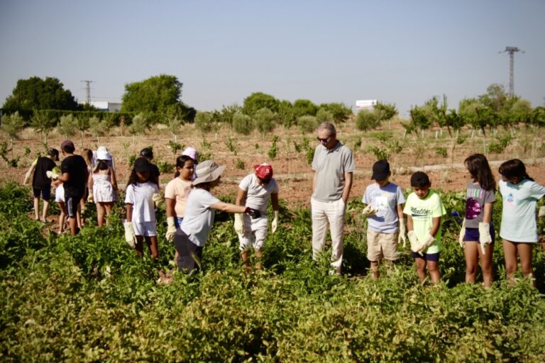 Juventud en Acción: Recolección de Productos Autóctonos en el Aula Agrícola de Alcázar de San Juan como Actividad Educativa