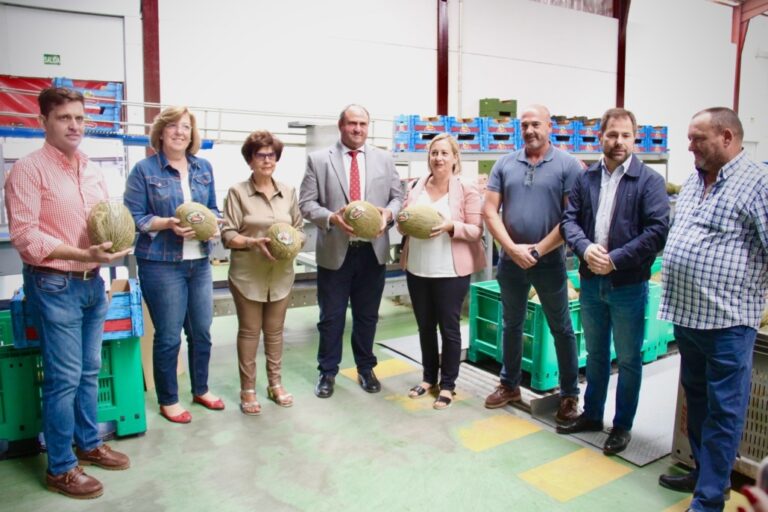 El Ayuntamiento de Alcázar de San Juan Reafirma su Compromiso con las Organizaciones de Productores de Frutas y Hortalizas