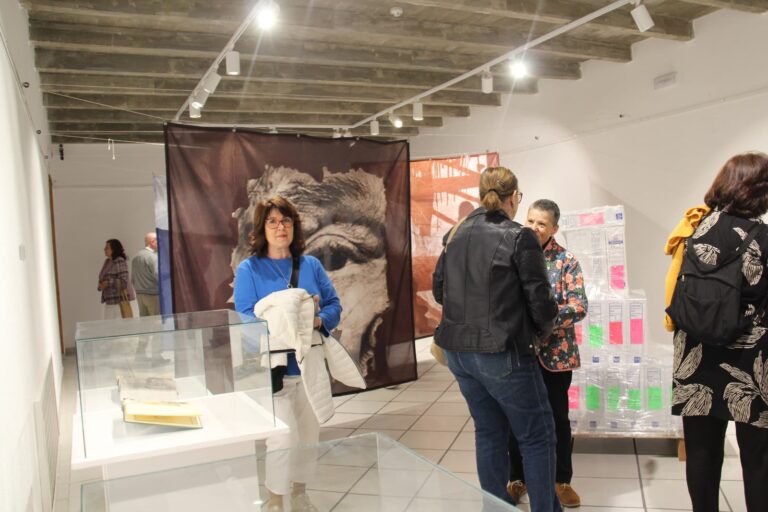 ‘Villacentenos: Redescubriendo el Olvido’ reúne a 13 artistas en el Museo Municipal de Alcázar