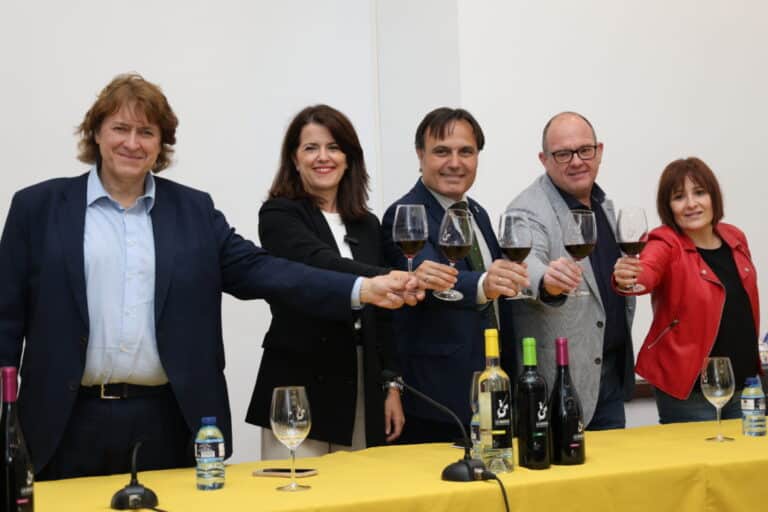 Alcázar de San Juan: ¡FESTIAL! Regresa con Música, Vino y Cultura en el Corazón de La Mancha