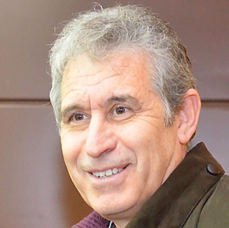 La FECIR: Un Análisis sobre la Ausencia de Responsabilidad Institucional