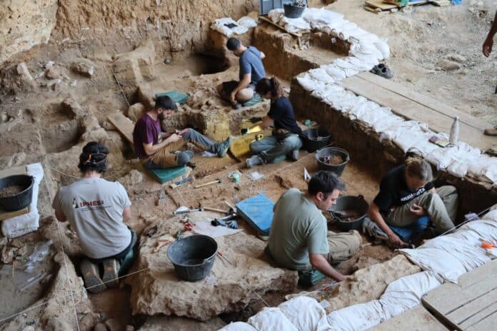 Los caballos más antiguos del linaje ibérico salen a la luz en las excavaciones de La Malia en Tamajón