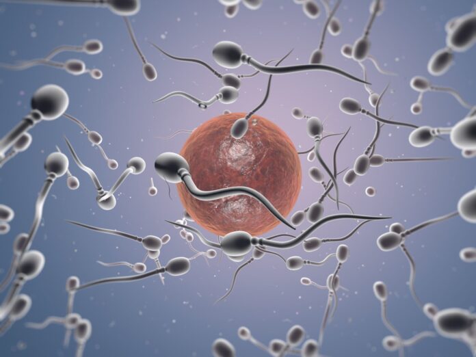 Dra. Miren Mandiola, directora del Laboratorio de Reproducción Asistida del Hospital de Día Quirónsalud Donostia: "Preservar la fertilidad permite a la mujer conciliar maternidad y proyectos personales"