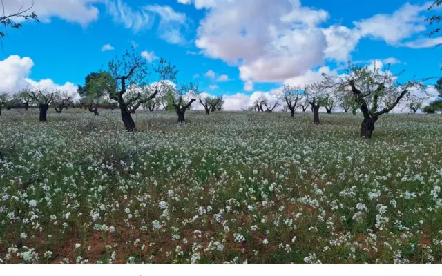 Nace el proyecto ESIL para impulsar la bioeconomía y los servicios ecosistémicos en Castilla-La Mancha