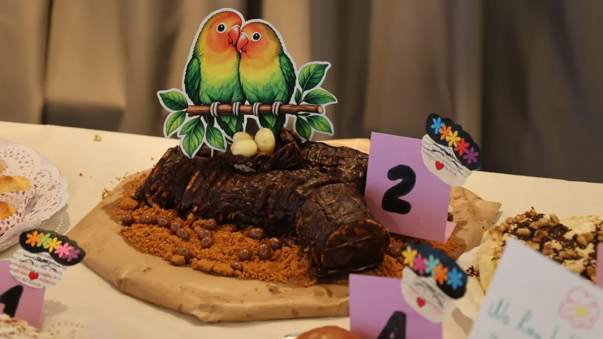 Tartas presentadas al concurso del 20 aniversario del Centro Frida Kahlo de Alcázar de San Juan