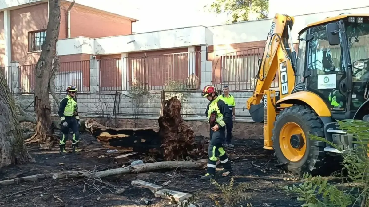 Un bombero del parque de Alcázar de San Juan enfría con agua los restos incandescentes del árbol derribado