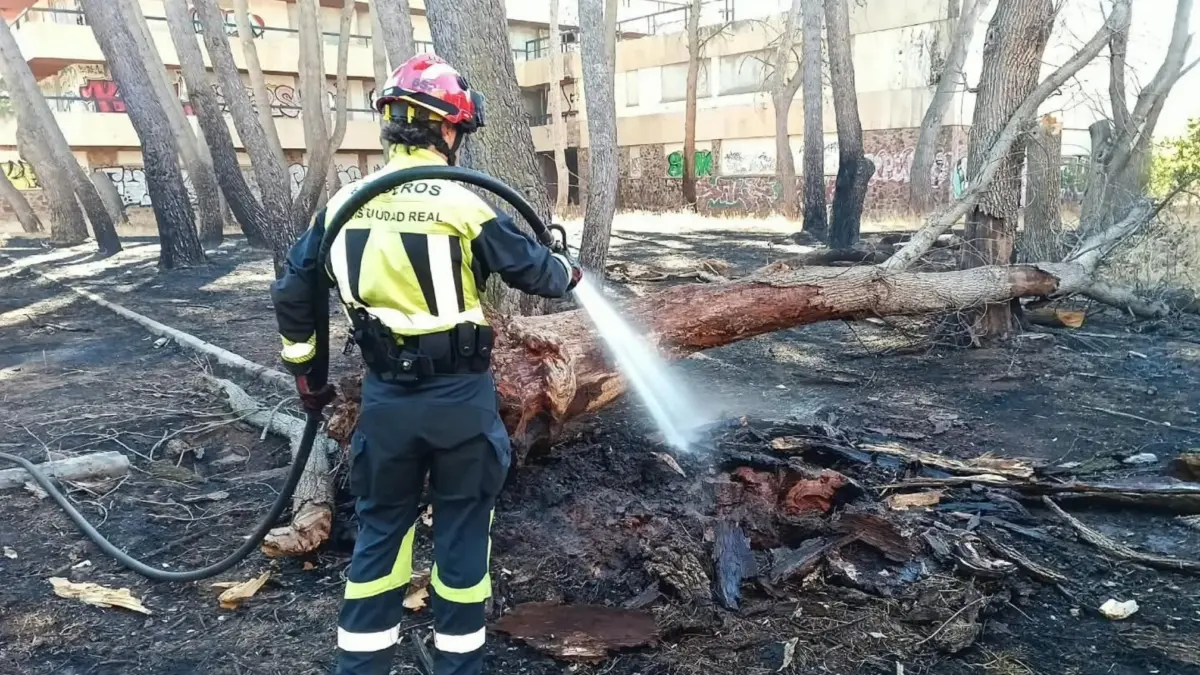 Bomberos y maquinaria pesada junto al tronco calcinado de un árbol derribado en el Antiguo Hospitalillo de Alcázar de San Juan