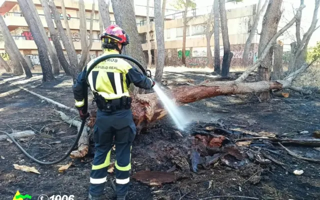 Bomberos y maquinaria pesada junto al tronco calcinado de un árbol derribado en el Antiguo Hospitalillo de Alcázar de San Juan