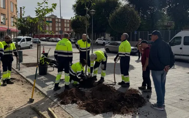 Personal municipal de Parques y Jardines de Alcázar de San Juan durante la formación sobre arbolado urbano